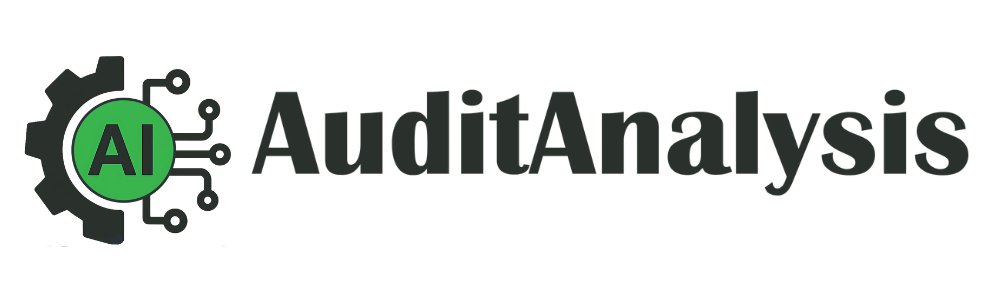 AI Audit Analysis